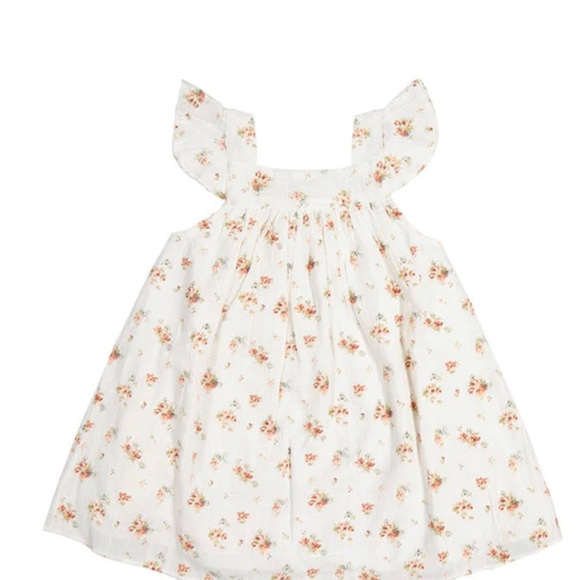Jamie Kay Other - New Jamie Kay Sweet Magnolia Dress
